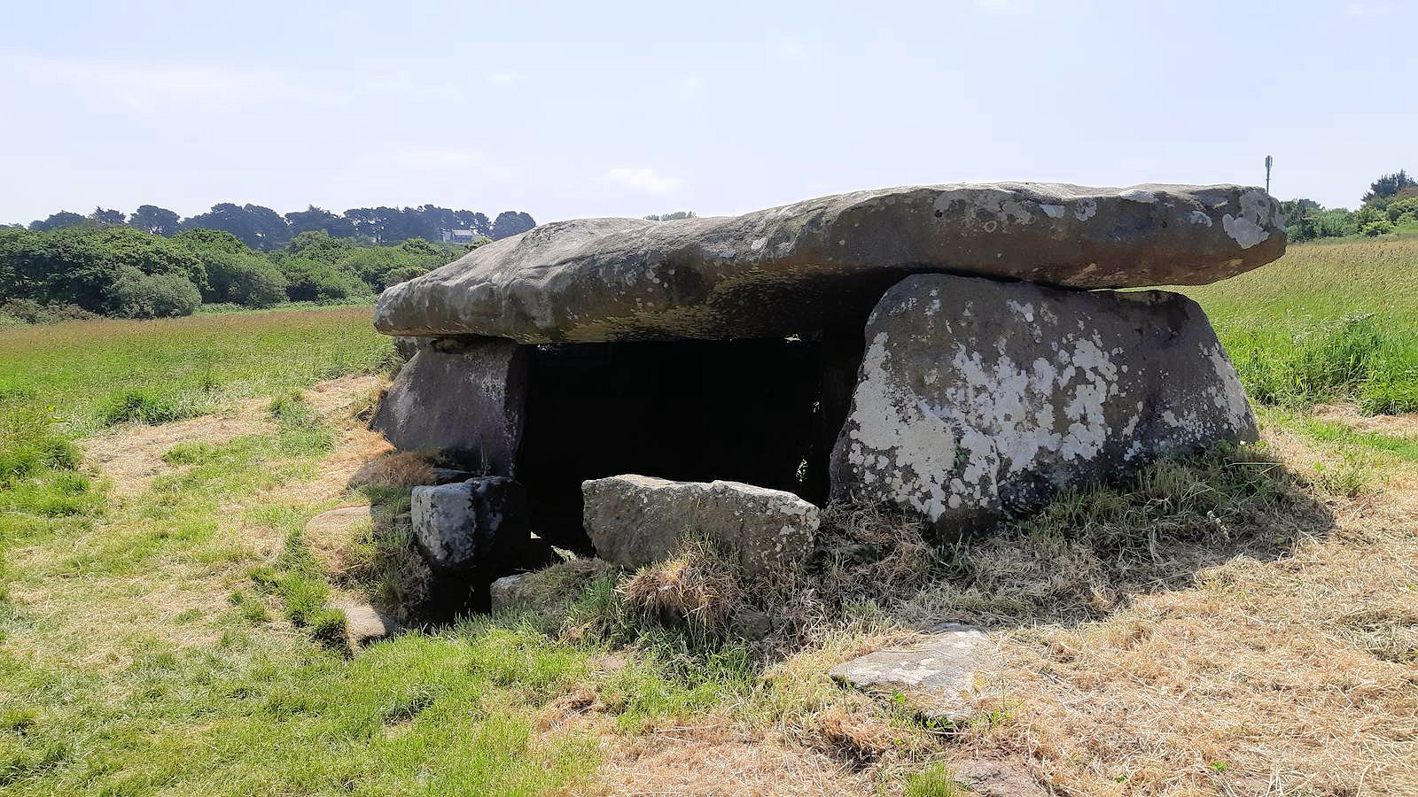 Mégalithes de kerguntuil
